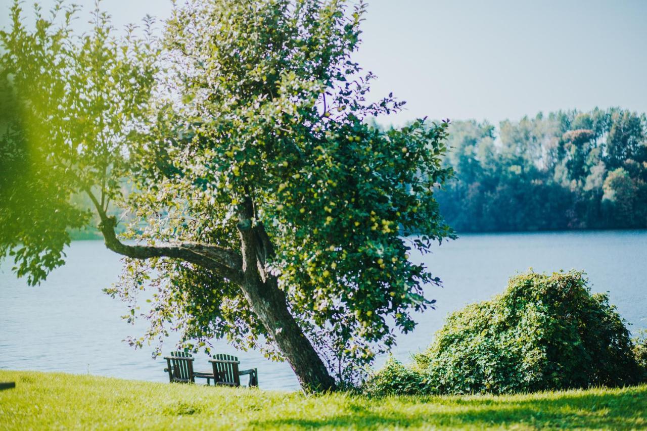 Kempings Kalnavoti Koknese Esterno foto